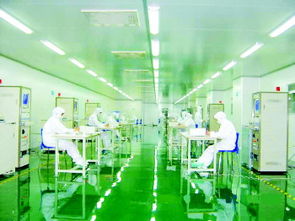 2011中国 莱芜 国际姜产业科技博览会